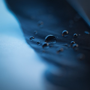 青娱乐福利在线2
