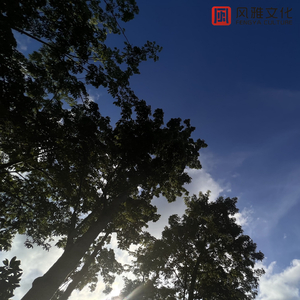 青娱乐福利在线2
